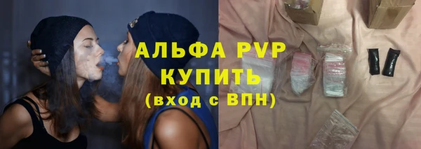 гидра Бородино