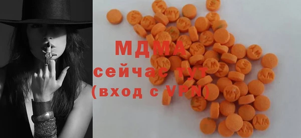 гидра Бородино