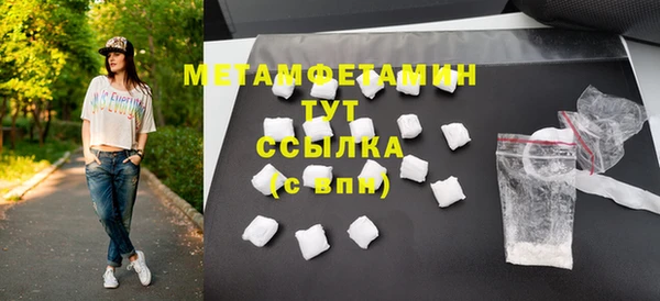 прущие грибы Богданович