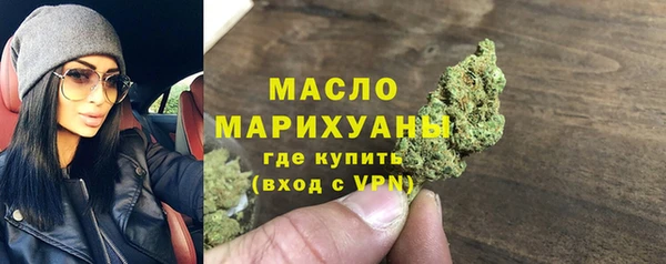 гидра Бородино